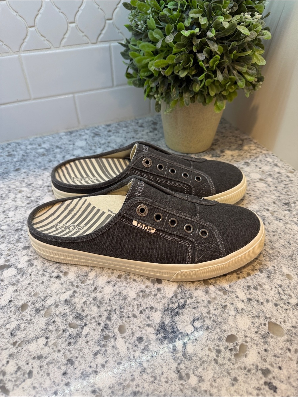 TAOS WOMEN'S EZ SOUL SLIP ON SNEAKER womens size 8.5 dark gray